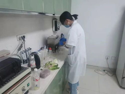 四大農貿市場抽檢結果公布，36批次食用農產品安全有保障